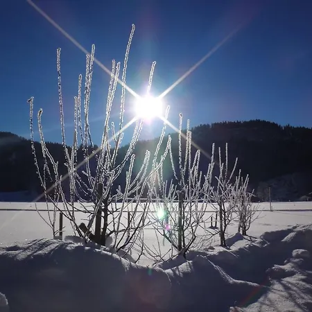 Gaestehaus Egender *