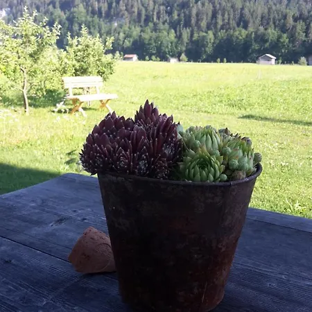 Апартаменты Gaestehaus Egender *