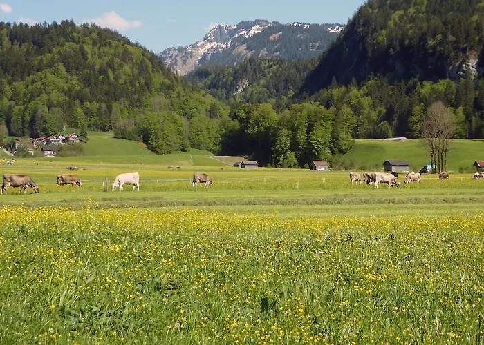 Gastehaus Egender Apartment